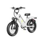 ANIIOKI AQ177 Pro Max Dual Motor Electric Bike