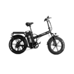 ChamRider DTS425 Ebike