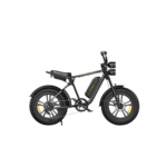 ENGWE M20: The Dual-Battery Explorer - Image 2