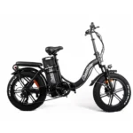 CHAMRIDER DTS450 48V 50AH