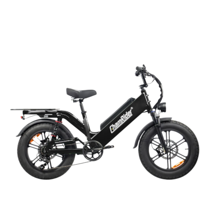 CHAMRIDER DT55 | 48V 55AH | Up to 240KM